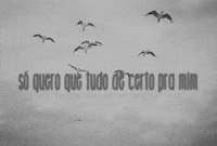 tudo GIF