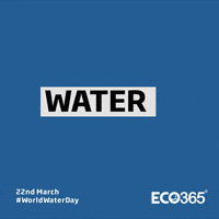 Eco365 sustainable ecofriendly gogreen compostable GIF