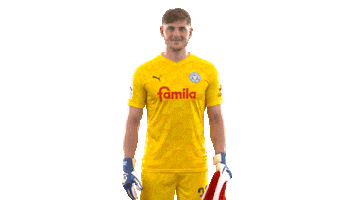 2 Bundesliga Football Sticker by Holstein Kiel