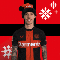 Merry Christmas Smile GIF by Bayer 04 Leverkusen