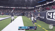 Houston Texans Football GIF by NFL