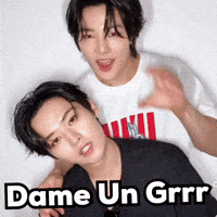 Stray Kids Skz GIF
