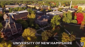 new hampshire wildcats GIF by University of New Hampshire
