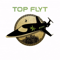 Private Jet GIF by Popular Demand Entertainment