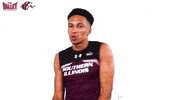 Southern Illinois Mvc GIF by Missouri Valley Conference