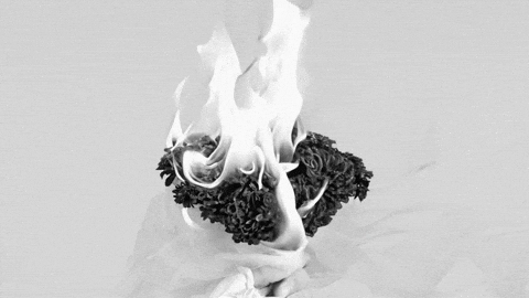 cattura giphyupload ai aesthetic studio GIF