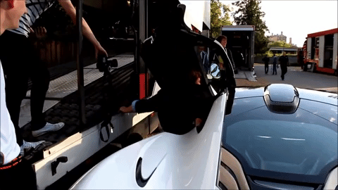 GIF by Tall Guys Free