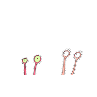 Oh No Ugh Sticker