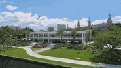 Tampa Bay College GIF by The University of Tampa