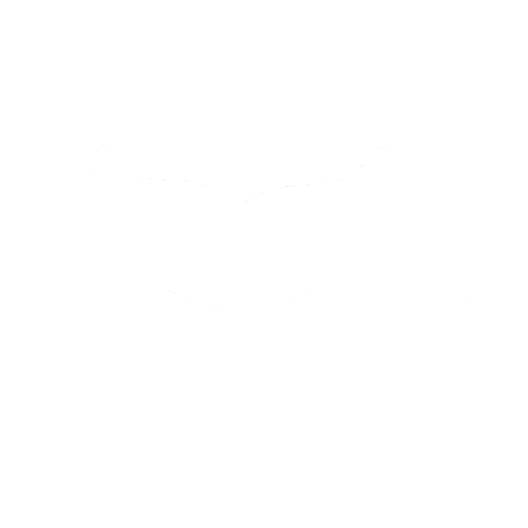 Whale Agency Incubator Sticker by ImanGadzhi