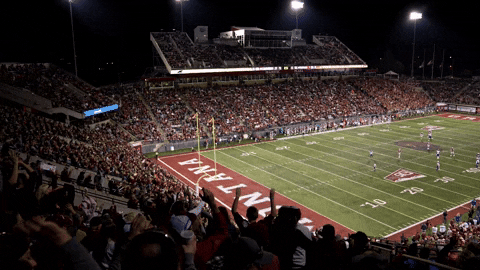 Montana State University Football GIF by Montana Grizzlies