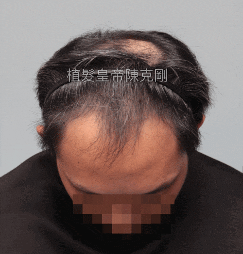 kokangchen giphyupload GIF