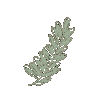 Leaf Sticker