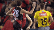 sport yes GIF by Essendon FC