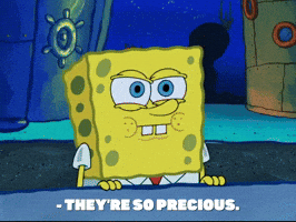 Episode 5 Keep Bikini Bottom Beautiful GIF by SpongeBob SquarePants