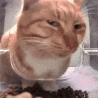 Happy Car GIF