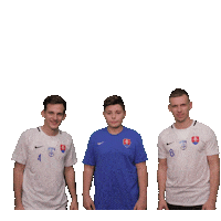 Malyfutbal Sticker by Slovenský zväz malého futbalu