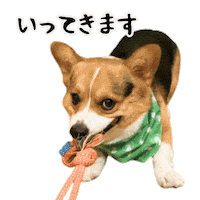 Corgi Milo Sticker