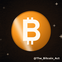The_Bitcoin_Act bitcoin bitcoin only bitcoin maxi GIF