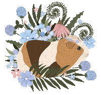Guinea Pig Summer Sticker