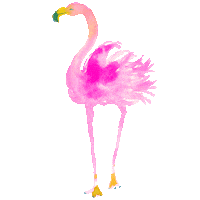 summer pink Sticker by Lilly Pulitzer