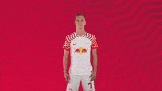 Football No GIF by RB Leipzig