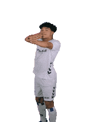 Luis9 Sticker by svhufussball