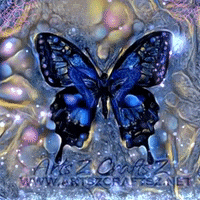 Sparkle Butterfly GIF
