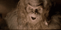 Angry Beef Jerky GIF by Jack Link's Jerky