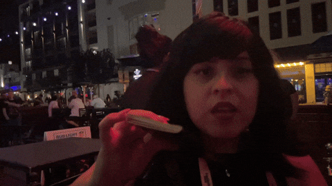 Flying World Travel GIF