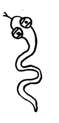 figgtseich cartoon animated animal 2d GIF