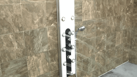 shower GIF