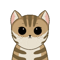 Happy Cat Sticker