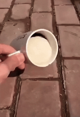 Video gif. Someone tilts a cup toward us as a tiny bunny’s rear end spills out. Its back feet land on the ground then it jumps back into the mug in an infinite loop.