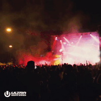 GIF by Ultra Music Festival