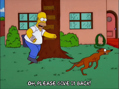 homer simpson GIF