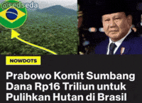 Prabowo Sawit GIF