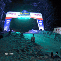 Jumping Car Fire GIF by FIA World Rally Championship