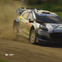 Safari Rally Kenya GIF by FIA World Rally Championship