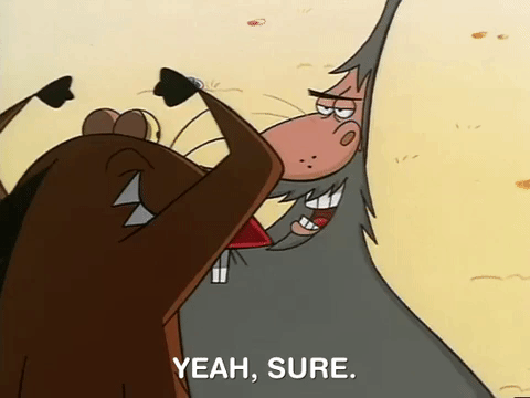 nickrewind giphydvr nicksplat angry beavers giphyab031 GIF