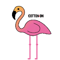 Miami Flamingo Sticker by cottononkids