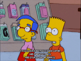 bart simpson episode 20 GIF