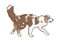 lillieandgarcello dog 犬 走る lillie Sticker