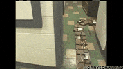 GIF by Alex Boya