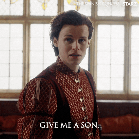 King Henry Starz GIF by The Spanish Princess
