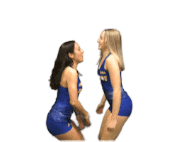 College Sports Love Sticker by Delaware Blue Hens