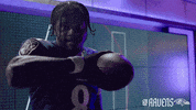 Celebrate Lamar Jackson GIF by Baltimore Ravens