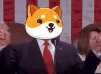 GIF by Baby Doge Coin