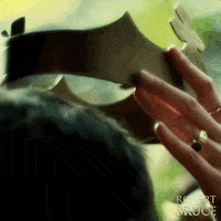 SignatureEntertainmentUK movie film movies films GIF