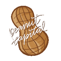 Peanuts Sticker by Eagle Eye Outfitters